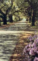 Bike Trail