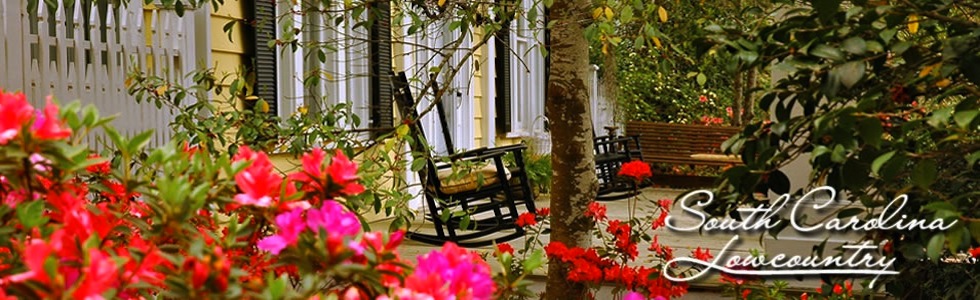 header10.jpg