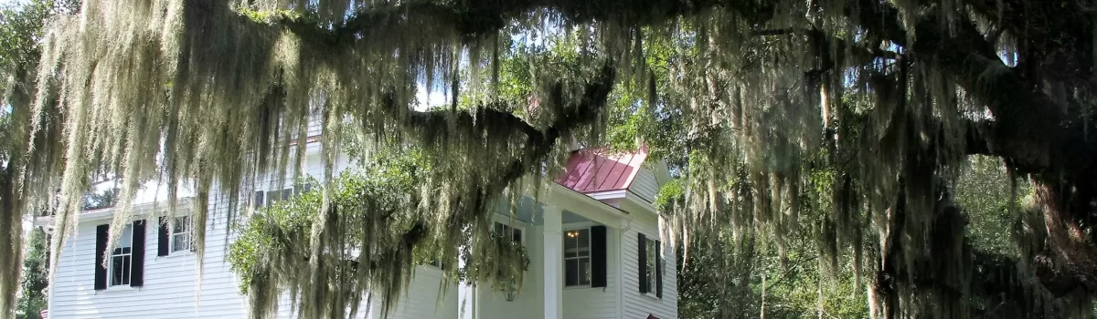Shopping in Point South, SC