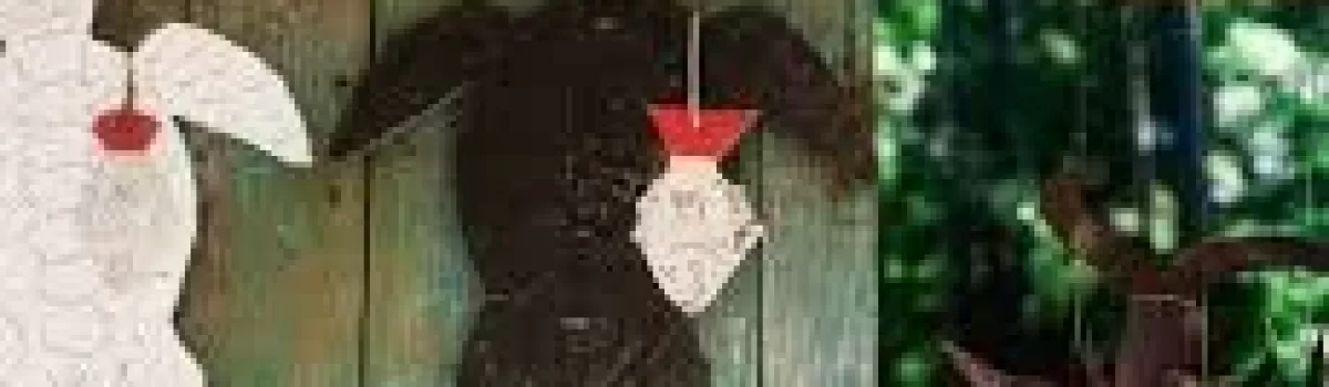 Daufuskie Island | Shopping