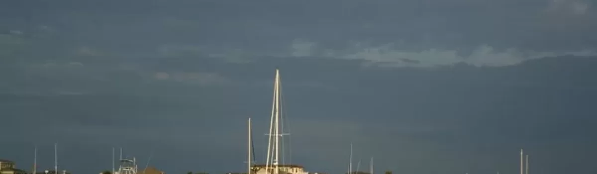 Edisto Beach | Tours