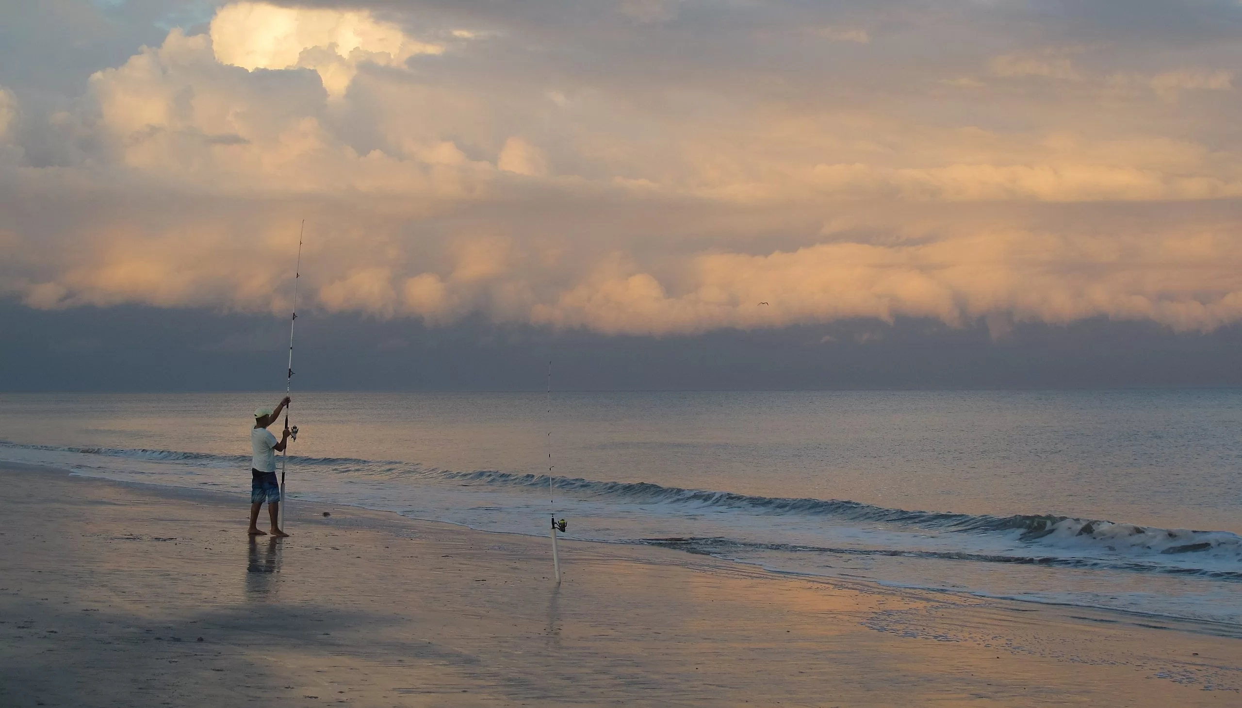 hilton head beach surf fishing hilton head beach surf fishing