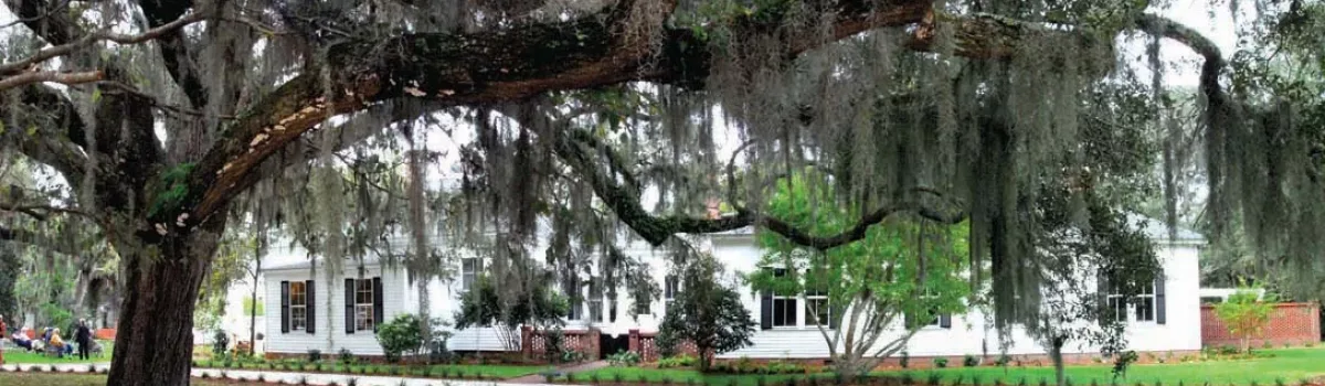 Hilton Head Island | Day Trips