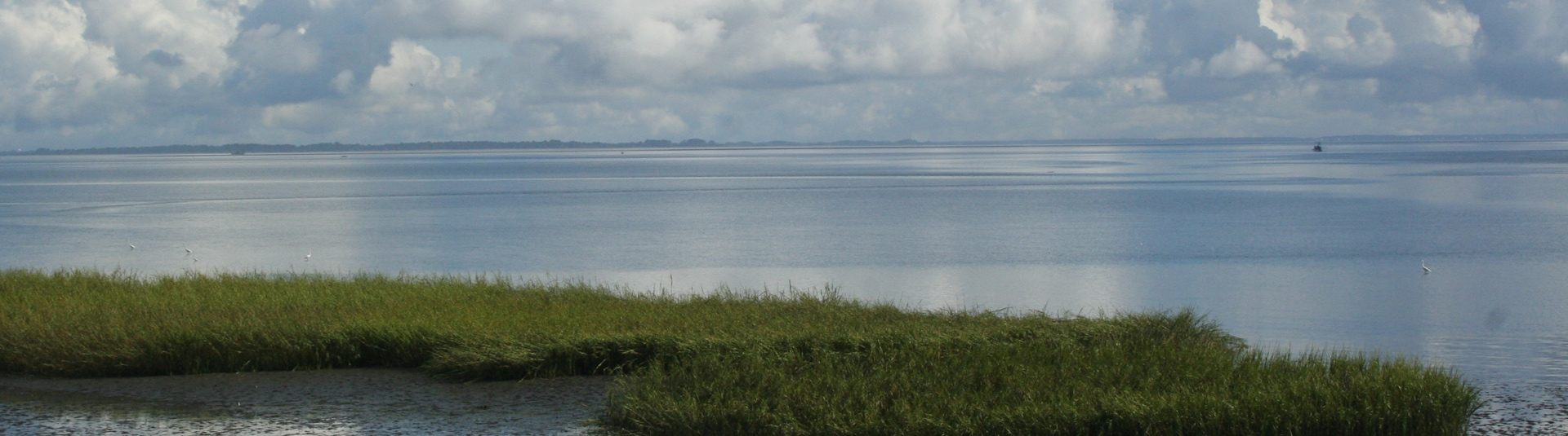 Beaufort & Port Royal Island South Carolina Lowcountry