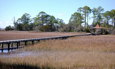 Marsh Boardwalks at Hunting Island State Park Marsh Boardwalks at Hunting Island State Park