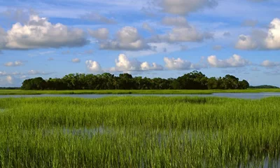 Pinckney Island National Wildlife Refuge Pinckney Island National Wildlife Refuge