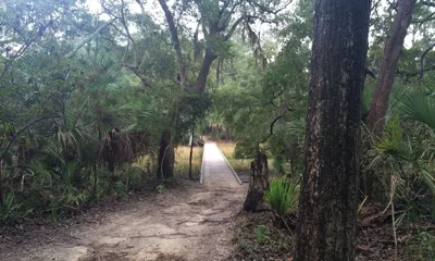 Spanish Mount Trail at Edisto Beach State Park Spanish Mount Trail at Edisto Beach State Park