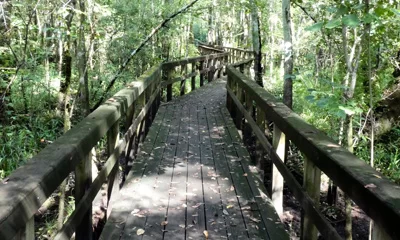 Westvaco Nature Trail