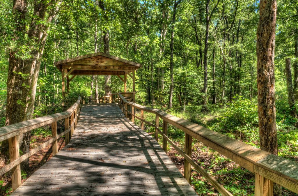 Walterboro Wildlife Sanctuary Nature Walk South Carolina Lowcountry