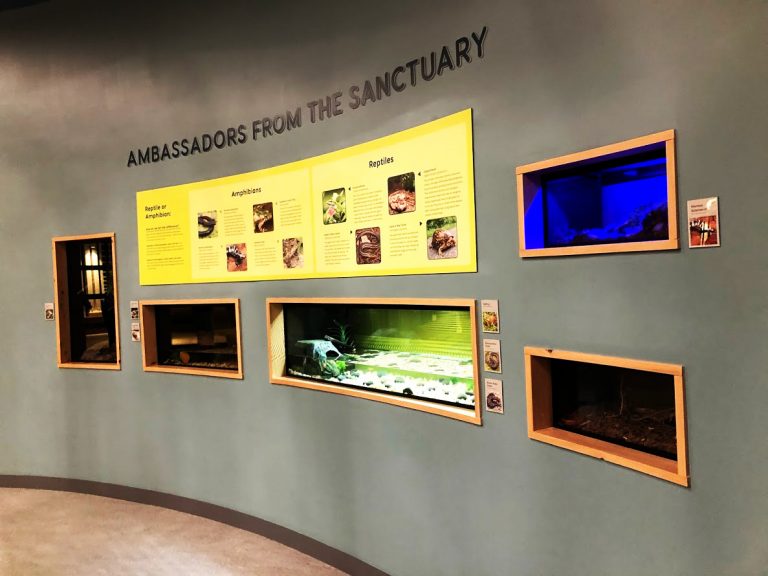 Walterboro's Newest Attraction... the Walterboro Wildlife Center