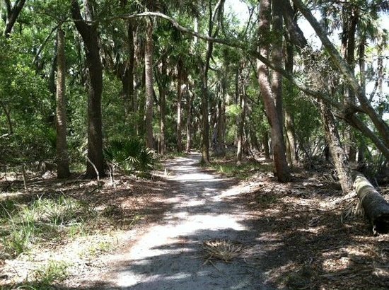 hunting island state park