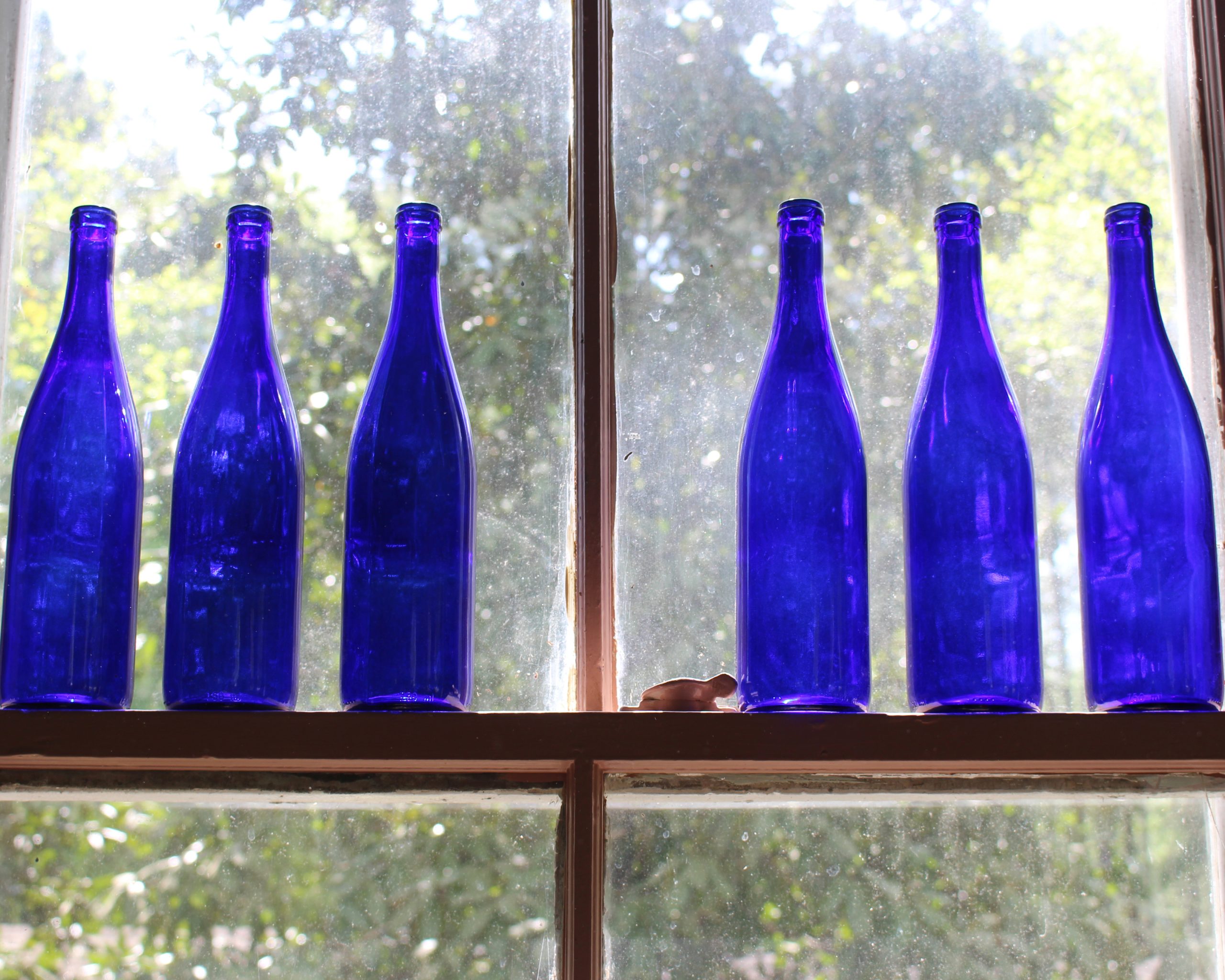 Blue Bottle Trees South Carolina Lowcountry