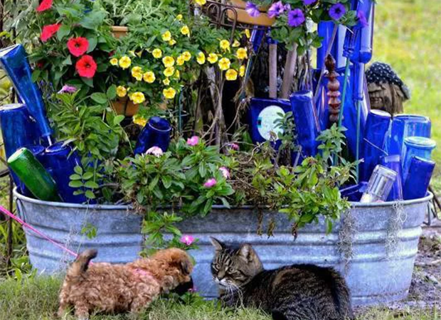 puppy and cat with a pail of blue bottles