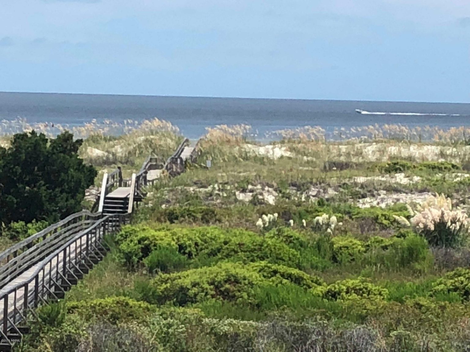 South Carolina Beaches Barrier Islands Nature Tourism in Lowcountry