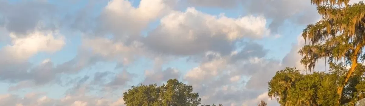 Beaufort Area | Golf Courses