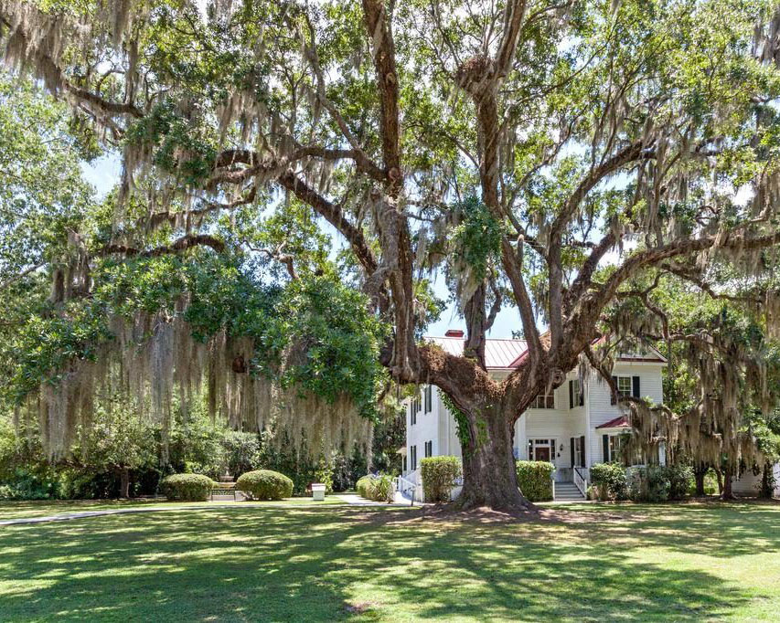 Top Ten Natural Wonders to See Between Charleston and Savannah