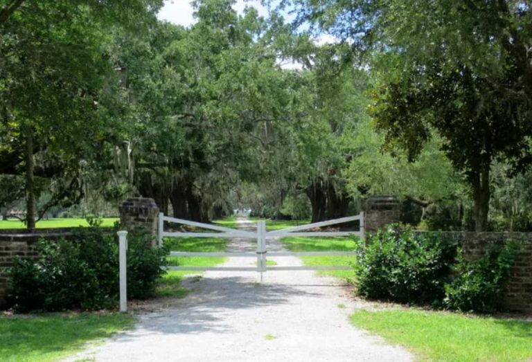 Forrest Gump Filming Locations in South Carolina's Lowcountry