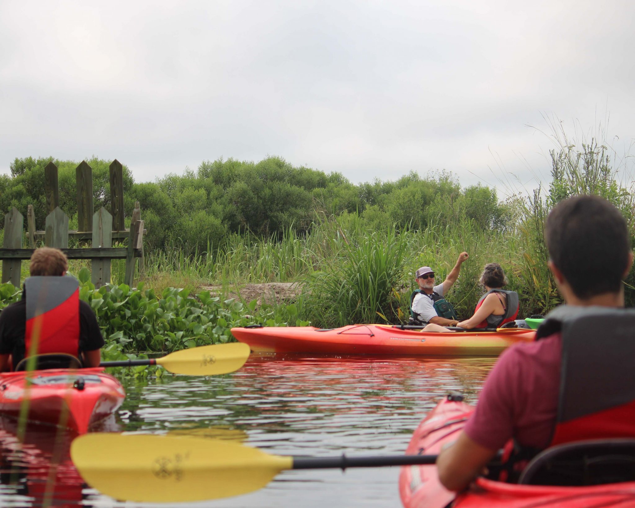 Kayaking the Combahee River South Carolina Lowcountry