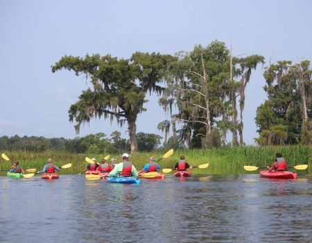 Kayaking the Combahee River