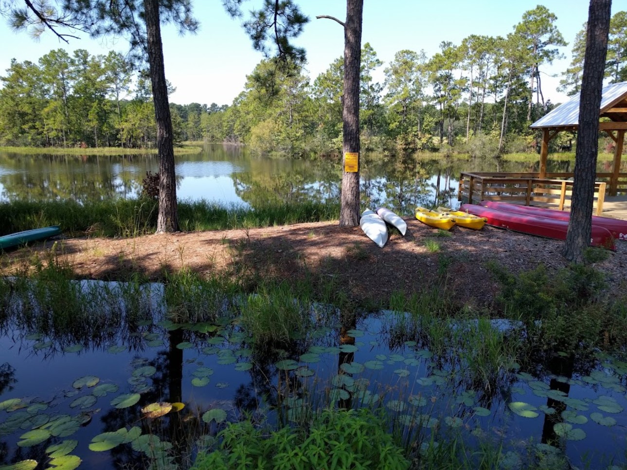 Water activities - camping in the lowcountry