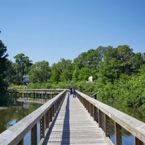 Cypress Wetlands Trail