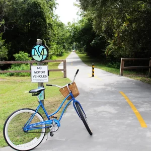 Spanish Moss Trail