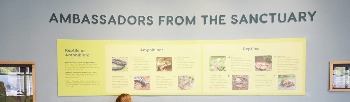 Colleton County/Walterboro | Day Trips