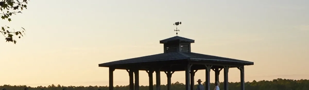 Hampton County SC