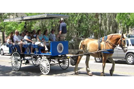 Beaufort Carriage Tour