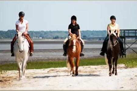 Camelot Farms