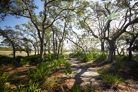 Pinckney Island National Wildlife Refuge