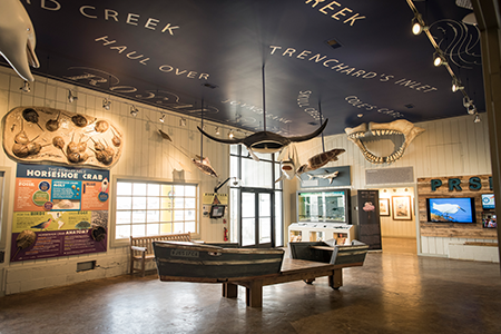Port Royal Sound Foundation Maritime Center