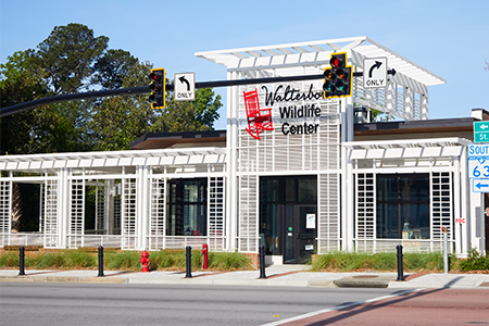 Walterboro Wildlife Center